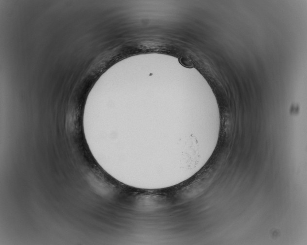 X0000100330408200807031239