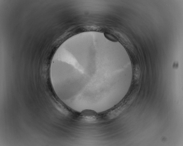 X0000100330409200807031239