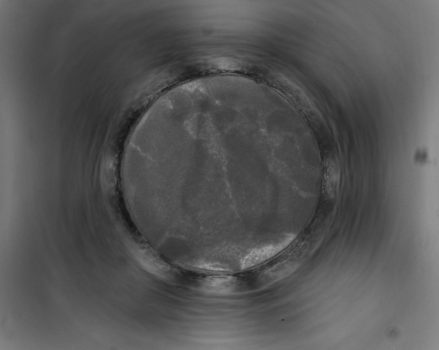 X0000100330410200807031239