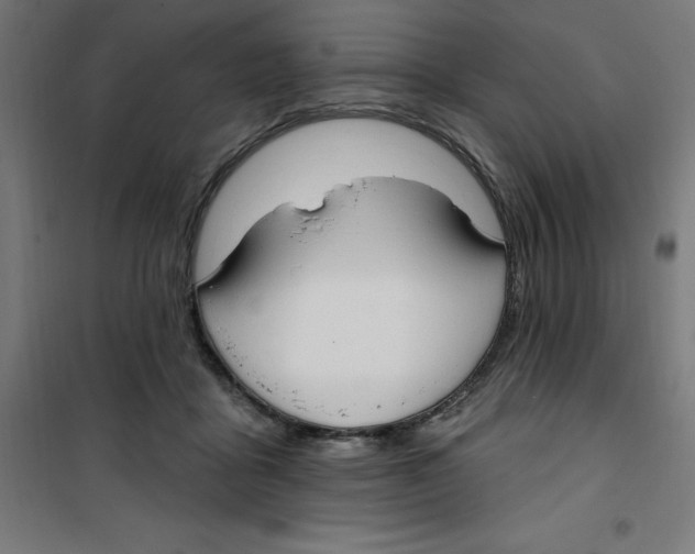 X0000100330411200807031239