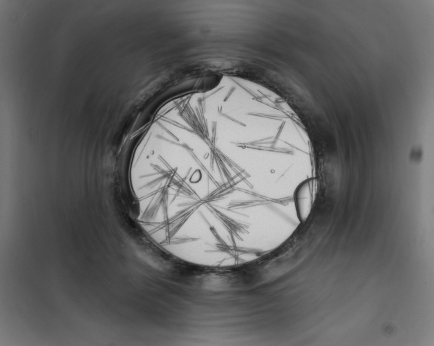 X0000100330412200807031239