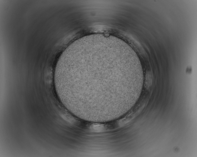 X0000100330413200807031239