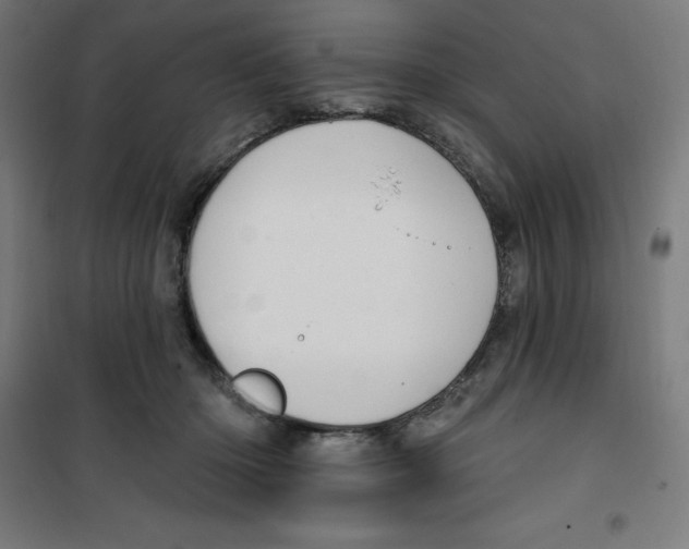 X0000100330414200807031239