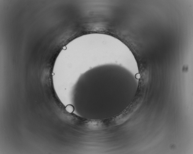 X0000100330415200807031239