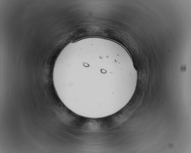 X0000100330416200807031239