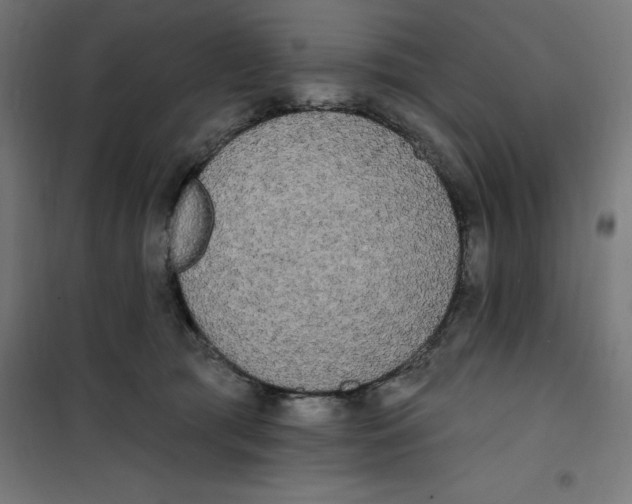 X0000100330417200807031239