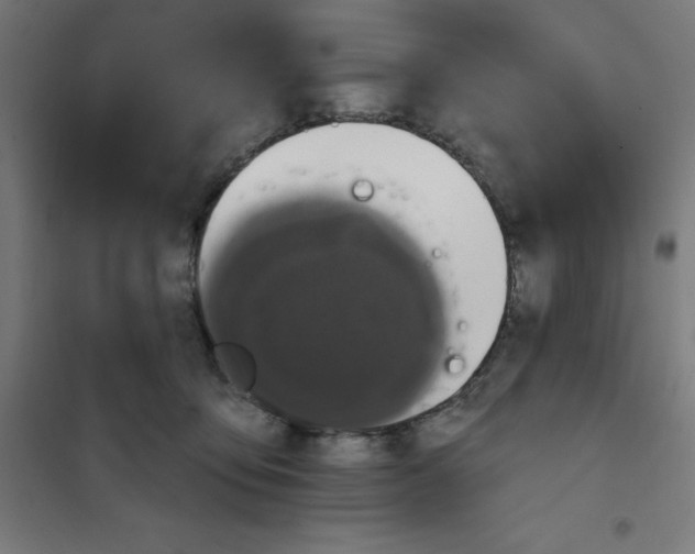 X0000100330419200807031239