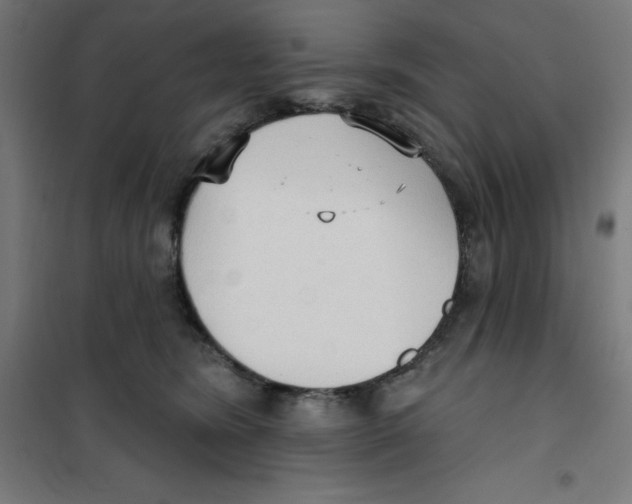 X0000100330420200807031239