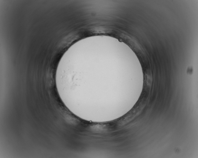 X0000100330422200807031239