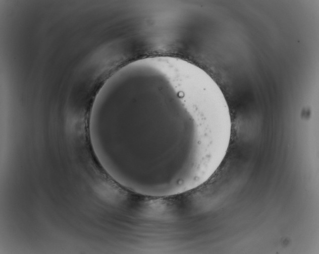 X0000100330423200807031239