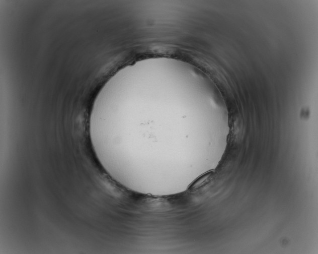 X0000100330424200807031239