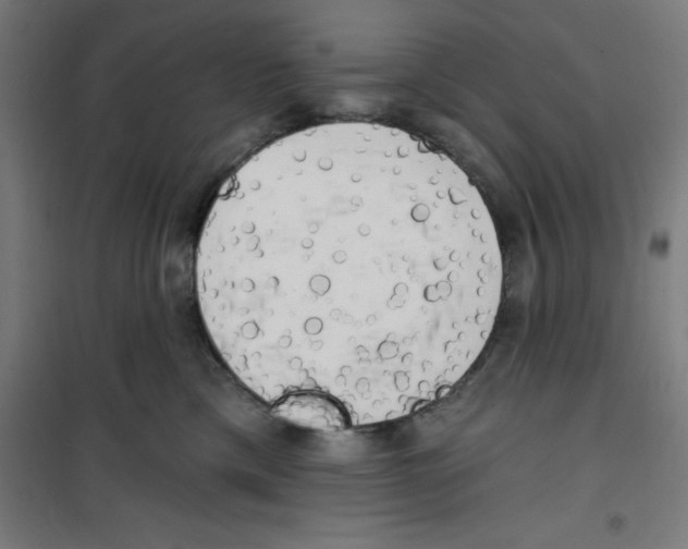 X0000100330425200807031239