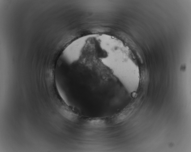 X0000100330426200807031239