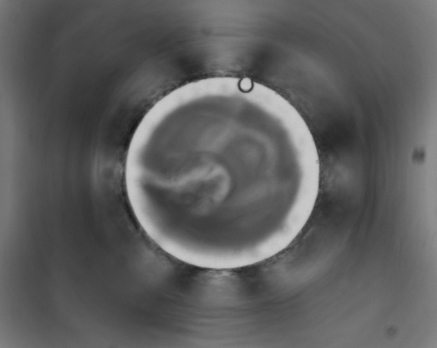 X0000100330427200807031239