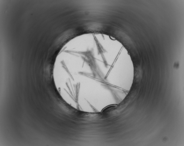 X0000100330428200807031239