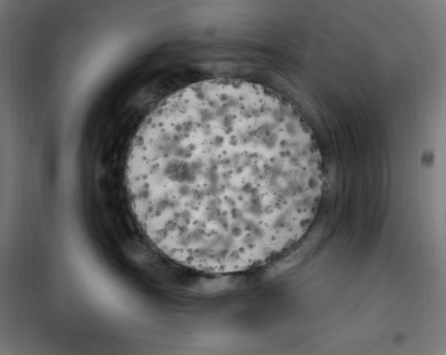 X0000100330430200807031239