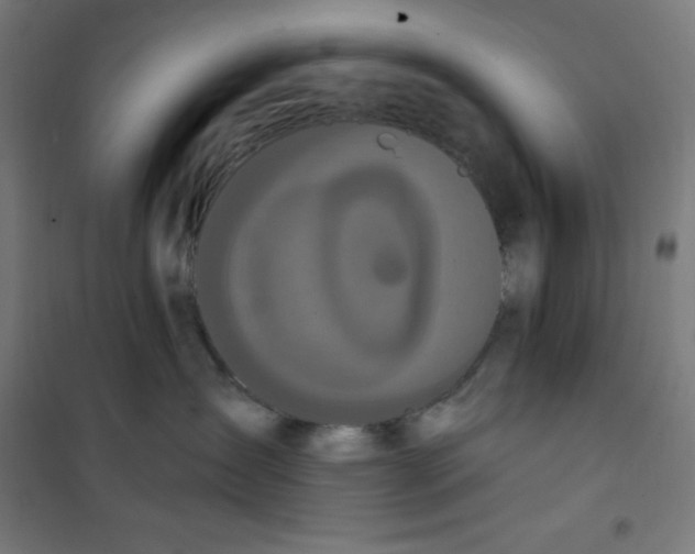 X0000100330431200807031239