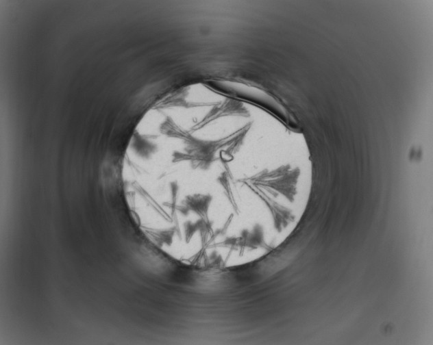 X0000100330432200807031239