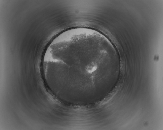 X0000100330434200807031238