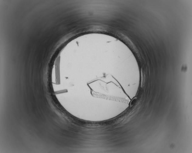 X0000100330435200807031238
