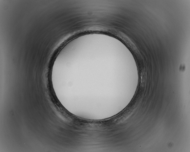 X0000100330436200807031238