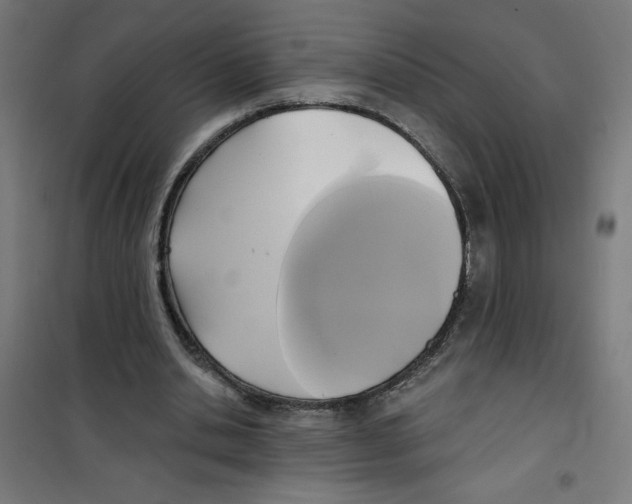 X0000100330438200807031238