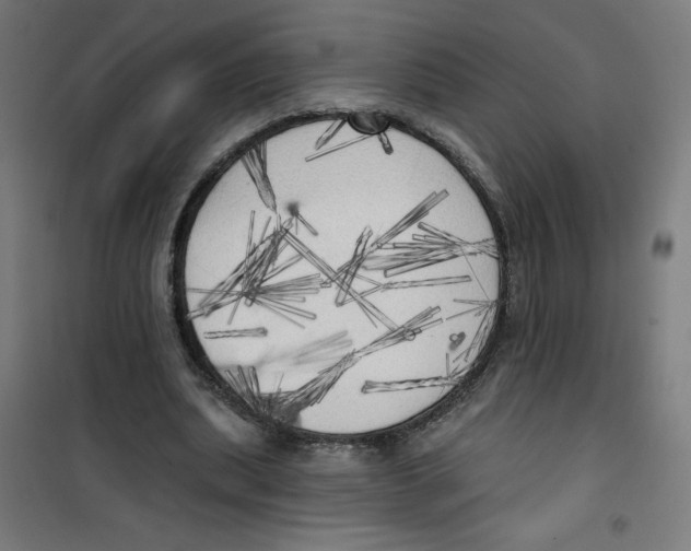 X0000100330439200807031238