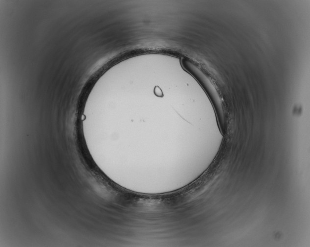 X0000100330440200807031238