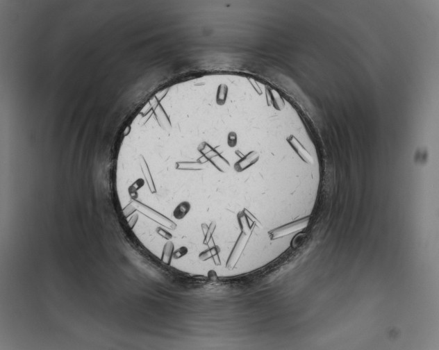 X0000100330441200807031239
