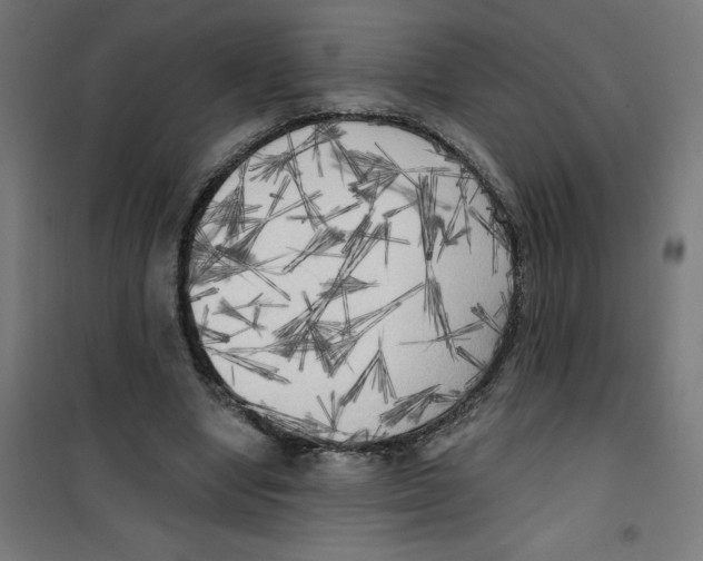X0000100330442200807031239