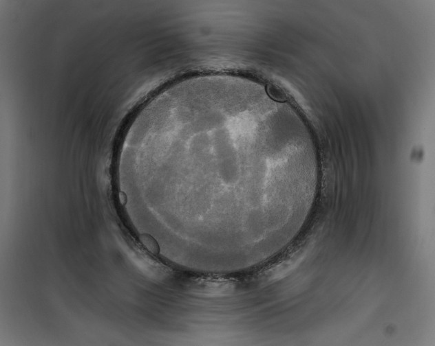 X0000100330443200807031239