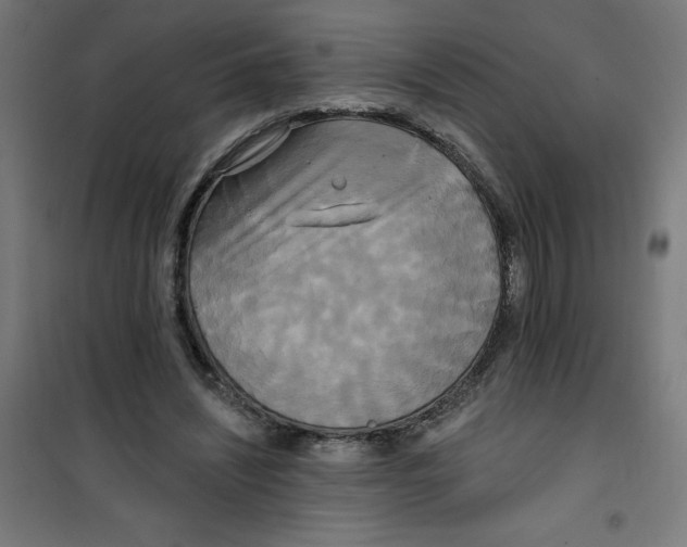 X0000100330444200807031239