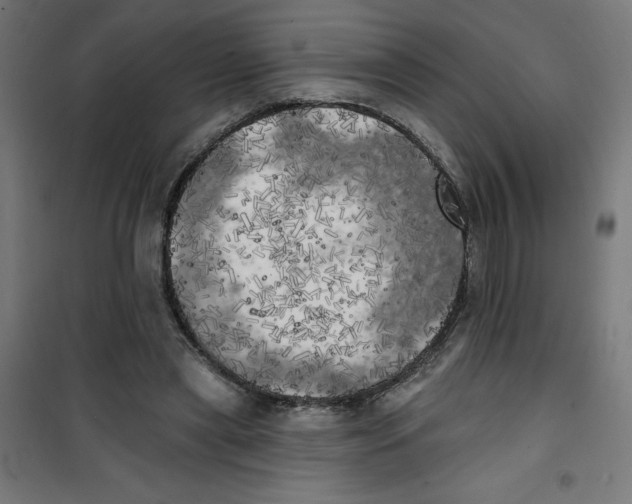X0000100330445200807031239