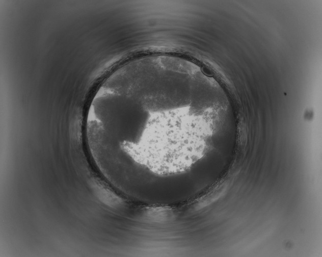 X0000100330446200807031239