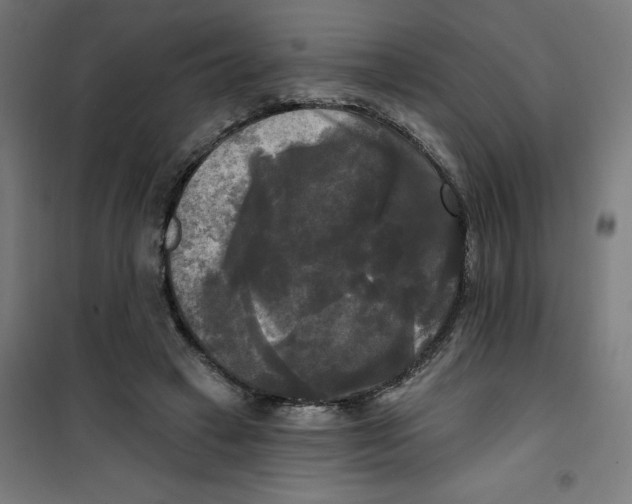 X0000100330449200807031239