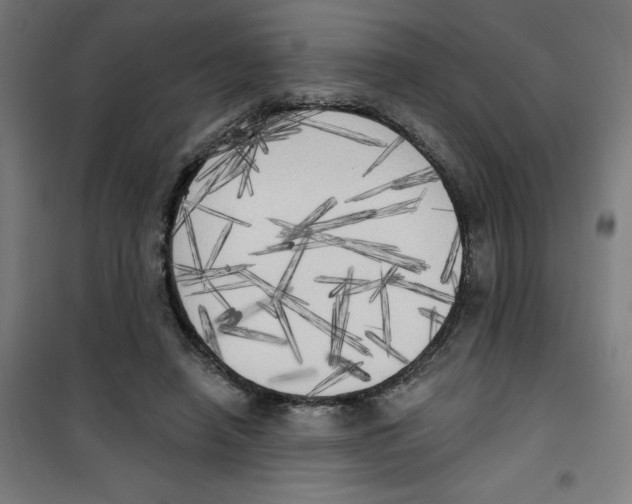 X0000100330450200807031239