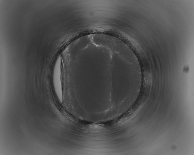 X0000100330451200807031239