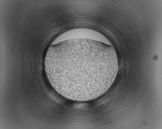 X0000100330452200807031239