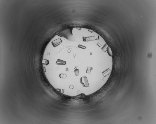 X0000100330455200807031239