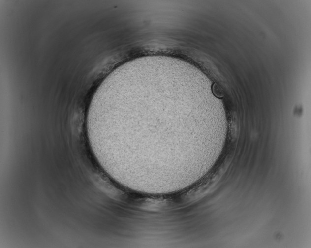 X0000100330458200807031239