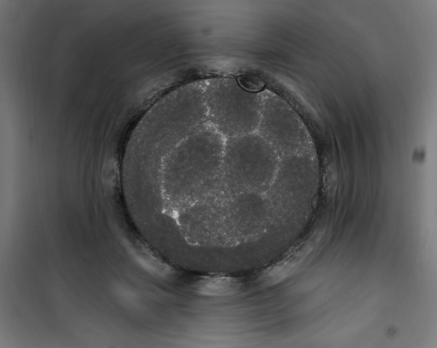 X0000100330459200807031239