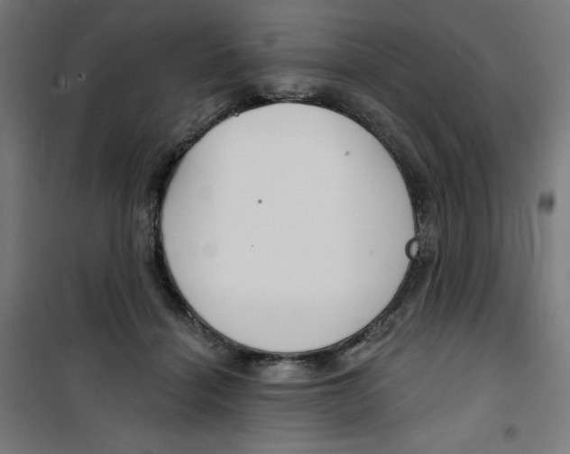 X0000100330460200807031239