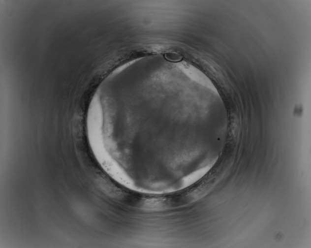 X0000100330461200807031239