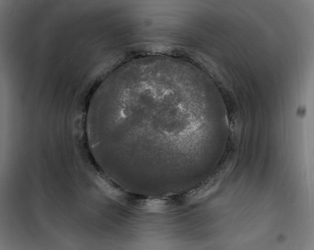 X0000100330462200807031239