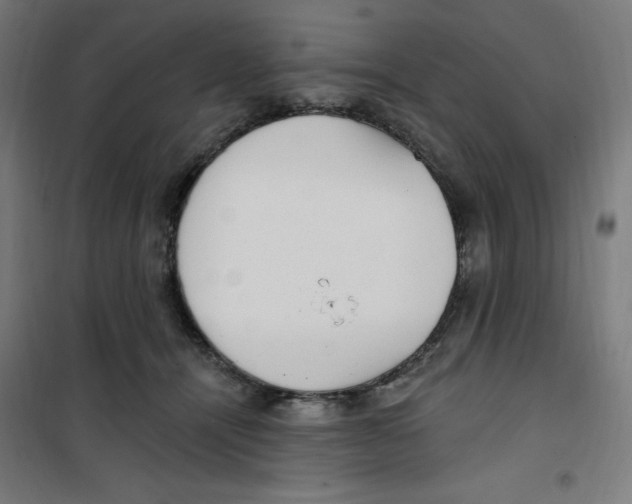 X0000100330464200807031239