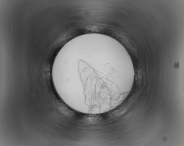 X0000100330466200807031239