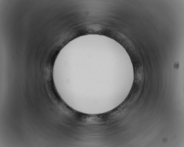 X0000100330468200807031239