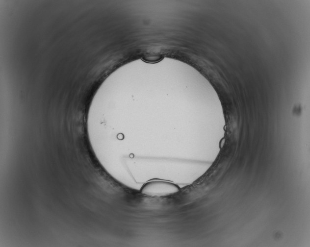 X0000100330470200807031239