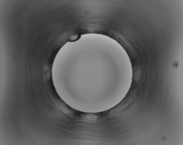 X0000100330471200807031239