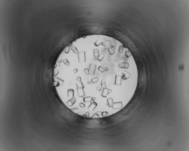 X0000100330473200807031239